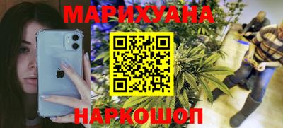 сатива Кунгур
