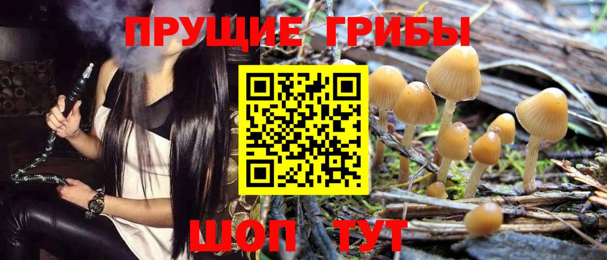 Галлюциногенные грибы ЛСД  Вход с VPN  Галлюциногенные грибы Magic Shrooms  Екатеринбург 